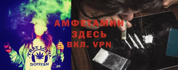 сатива Вязники