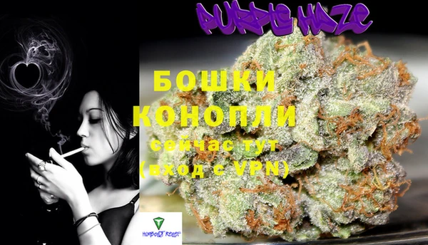 сатива Вязники