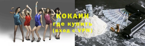 сатива Вязники