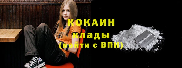 сатива Вязники