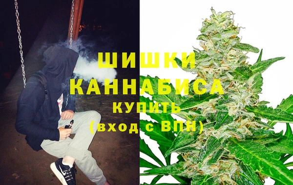 сатива Вязники