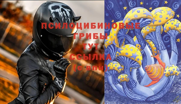 прущие крисы Вяземский