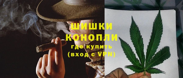 прущие крисы Вяземский