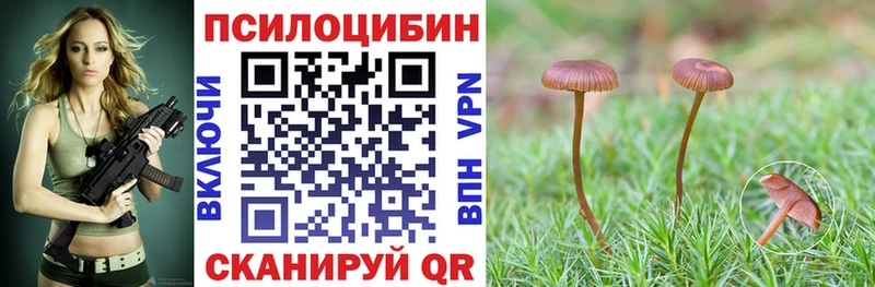 Купить  Усть-Лабинск  Псилоцибиновые грибы прущие грибы 